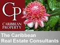 Caribbean Real Estate Consultants